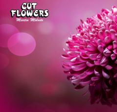 CUT FLOWERS - řezané i hrnkové květiny Praha 5