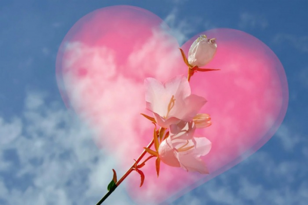 Online prodeje květin na Valentýna stoupají trojnásobně, vyrovnají se Prvnímu máji