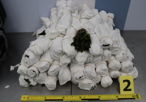 Ruzynští celníci zadrželi tři cizinci, kteří chtěli ve svých zavazadlech propašovat 63 kg drogy