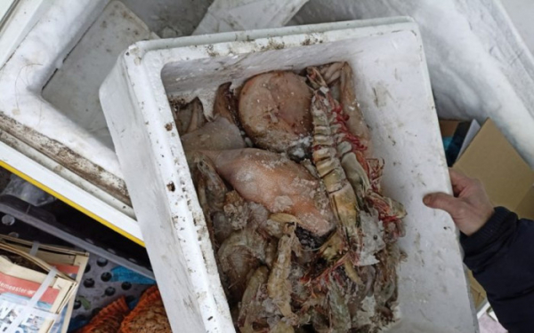 Státní veterinární správa odhalila v areálu SAPA prodej více než 300 kg nevyhovujících potravin a týrání prodávaných ryb