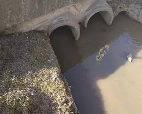 ČIŽP: Znečištění Jirenského a Šestajovického potoku má svou dohru