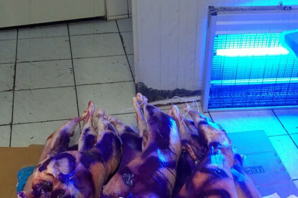Veterinární inspektoři v prodejně potravin na pražském Žižkově odhalili metrák jehněčího masa neznámého původu