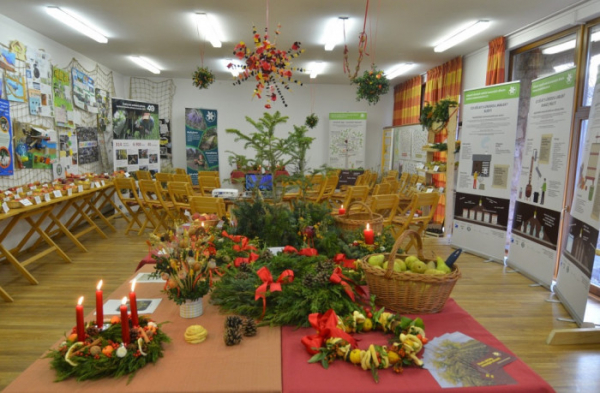 Od 1. do 3. prosince 2022 se v pražském Domě ochránců přírody uskuteční vánoční výstava ovoce