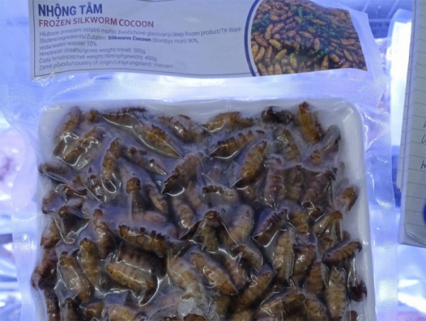 Při kontrole skladu potravin v Praze našli inspektoři SVS mražené larvy bource morušového
