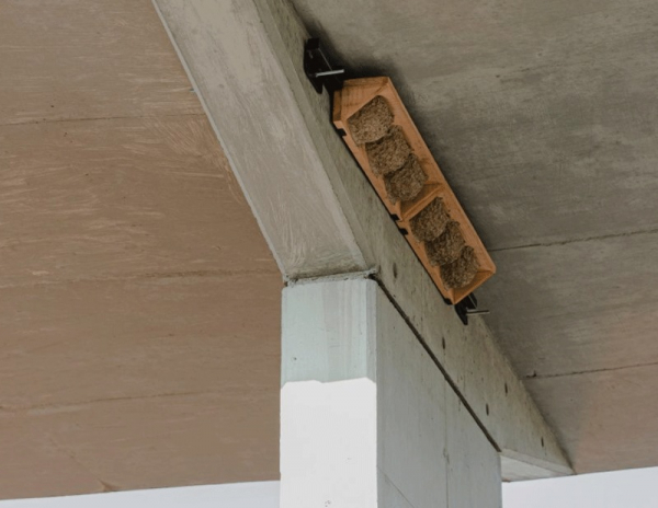 PID: V terminálu Černý Most zkoušíme první umělá hnízda pro chráněné jiřičky