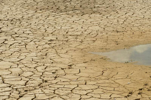 17. června si svět tradičně připomíná boj proti suchu a rozšiřování pouští