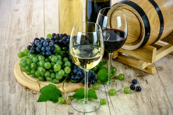 Svatomartinské víno můžete okoštovat i v Národním zemědělském muzeu, které pro vás připravilo den plný tradic