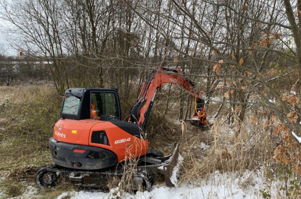 ŘSD zahájilo kácení mimo-lesních dřevin na území dostavby Pražského okruhu v úseku D1 - Běchovice